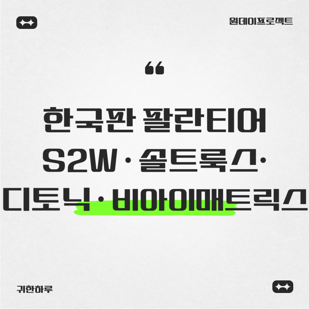 한국판 팔란티어 : S2W · 솔트룩스· 디토닉 · 비아이매트릭스